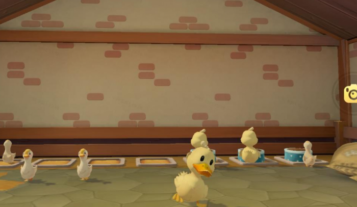 摩尔庄园怎么建禽棚1