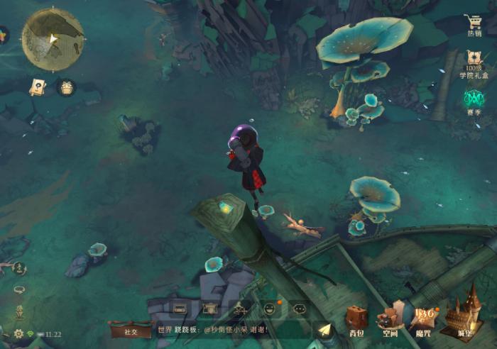 哈利波特魔法觉醒黑湖浅水区的宝箱在哪里1