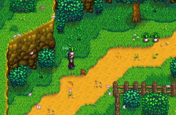 星露谷物语韭葱的作用有哪些1