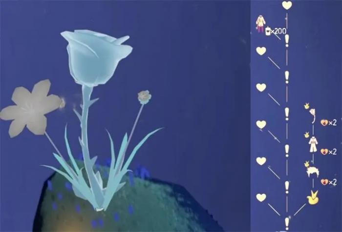 光遇玫瑰花怎么出现2