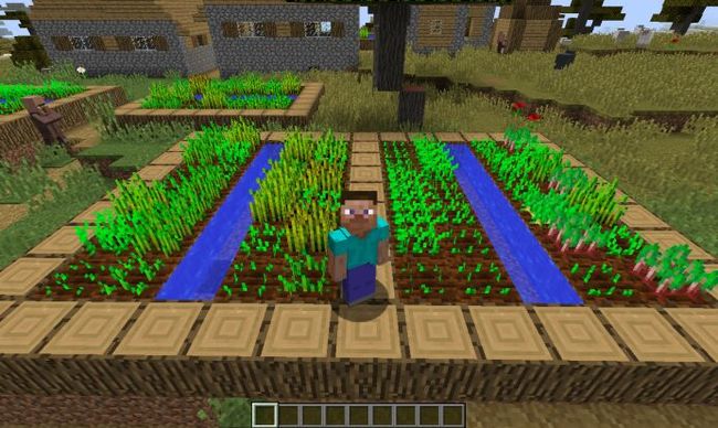 我的世界种子怎么种植1