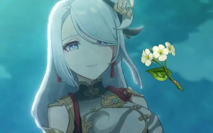 原神培养申鹤需要什么材料2