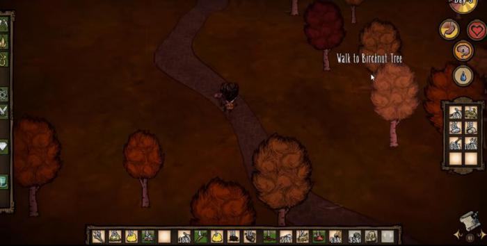 饥荒新手开局要如何建家2