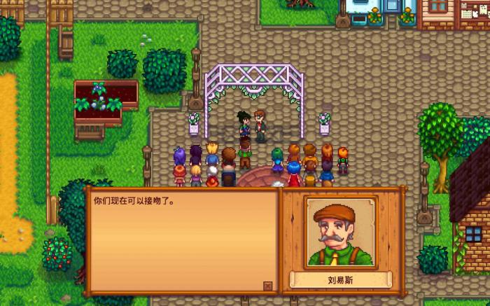 星露谷物语怎么结婚2