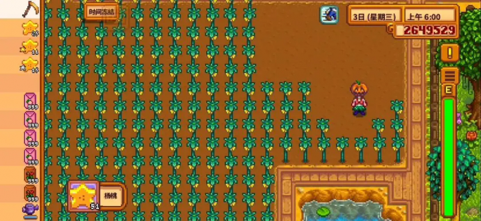 星露谷物语杨桃有哪些作用2