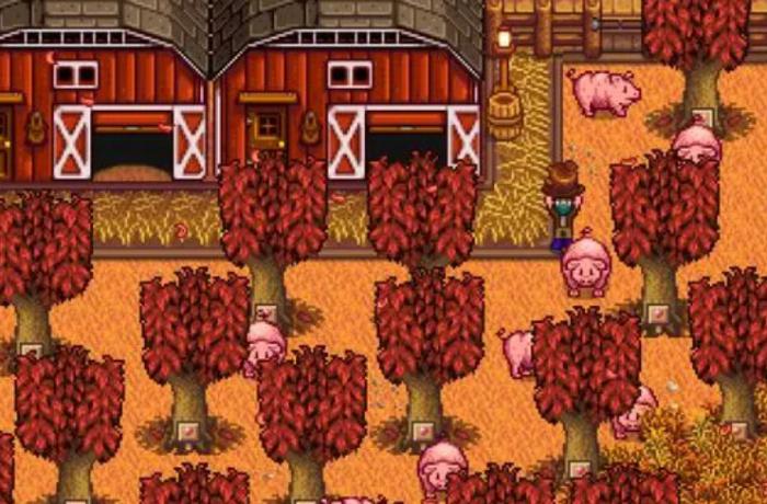 星露谷物语动物困在外面会有什么影响2