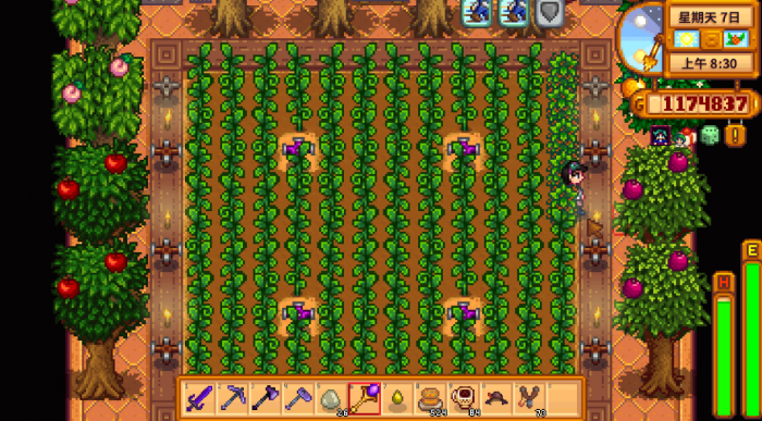 星露谷物语果树怎么种2