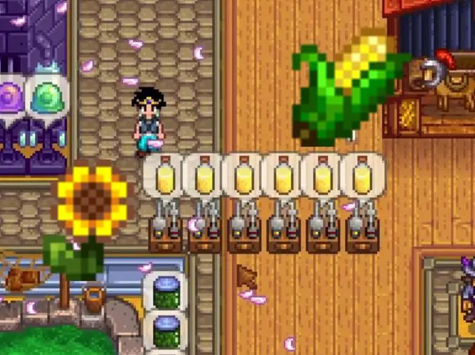 星露谷物语向日葵有哪些用途2