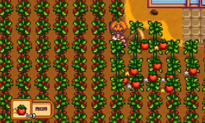 星露谷物语西红柿有哪些用途2