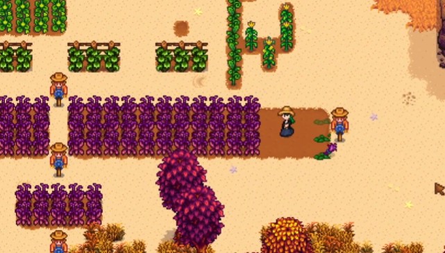 星露谷物语苋菜有哪些特性1