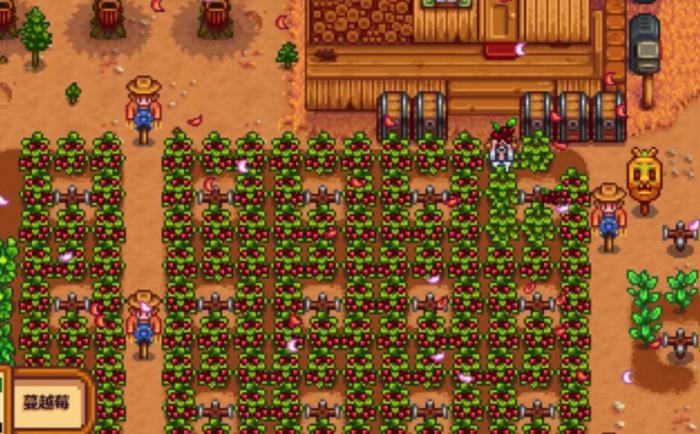 星露谷物语蔓越莓有哪些特性1