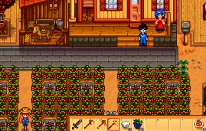 星露谷物语蔓越莓有哪些特性2