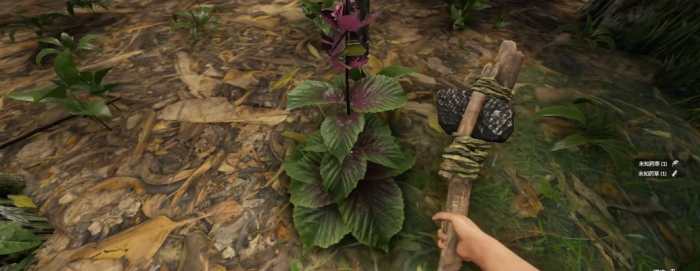 绿色地狱食物中毒怎么办3