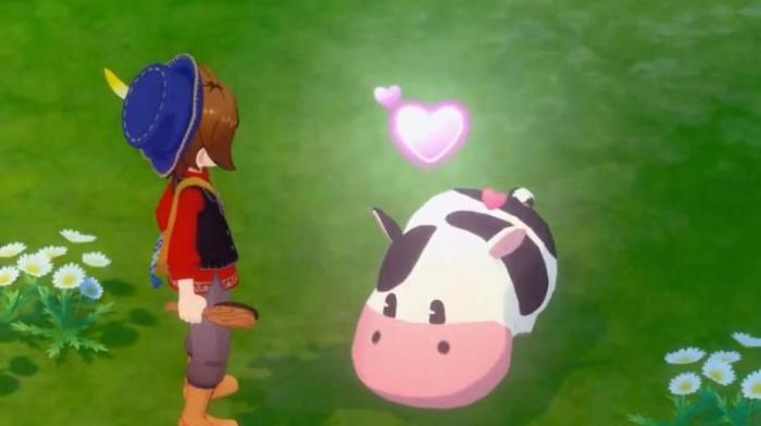 牧场物语袜子_牧场物语袜子没有礼物