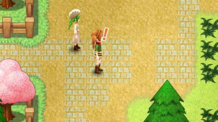 牧场物语袜子有什么用2