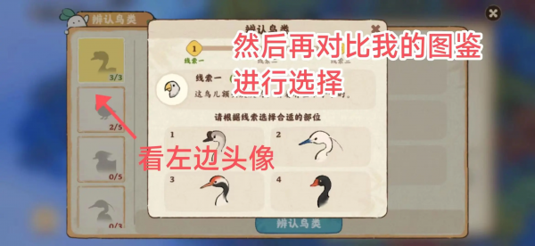 桃源深处有人家鸟类辨认有那些方法1