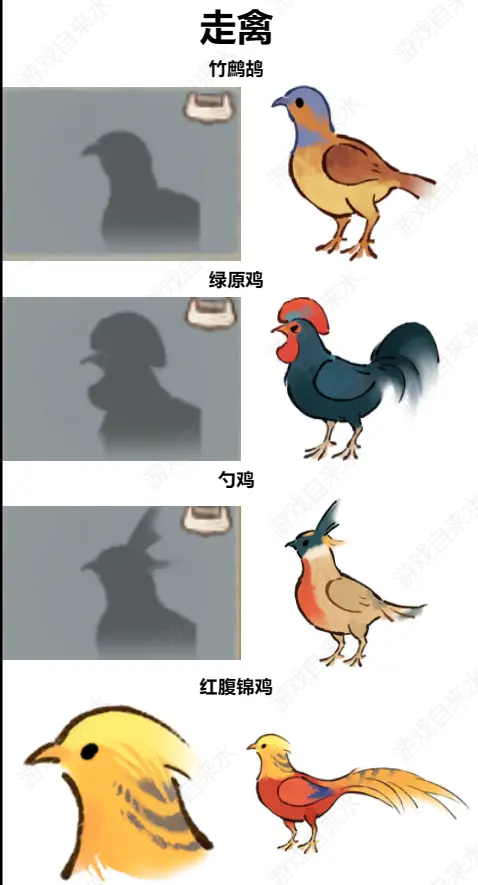 桃源深处有人家鸟类辨认有那些方法7