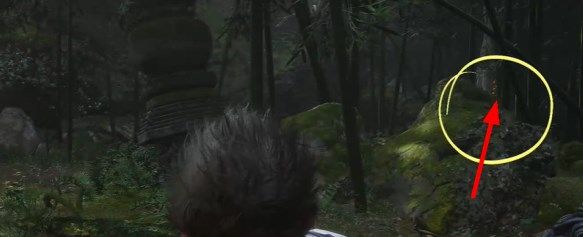 黑神话悟空落伽香藤怎么采集3