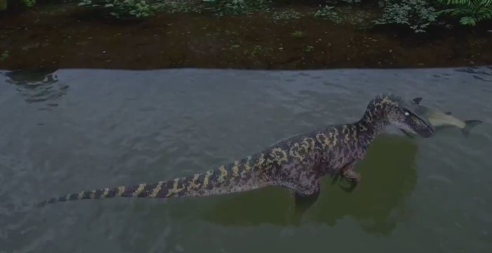 恐龙岛怎么找龙2