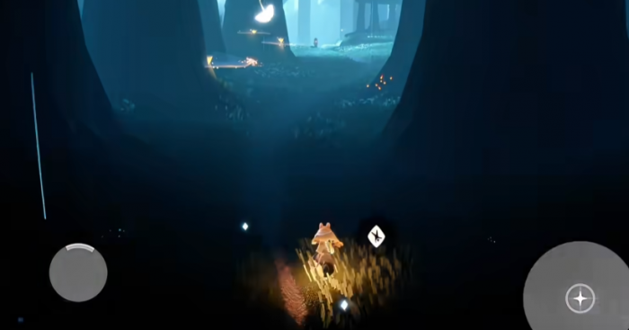 光遇通关雨林_光遇雨林关卡