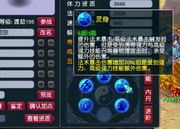 梦幻西游物理输出适合使用什么类型的变身卡1