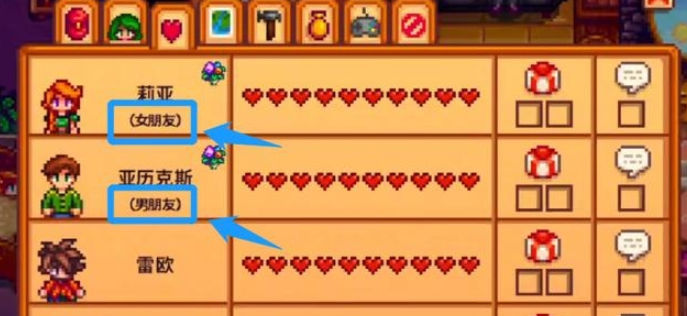 星露谷物语结婚对象有哪些3