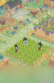 华夏千秋建造玩法是什么1