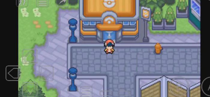 口袋妖怪白金光御龙市馆主在哪3