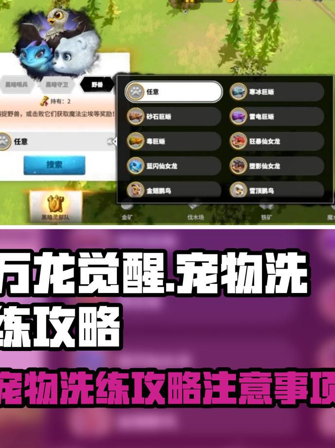 万龙觉醒为什么没有宠物洗练功能1