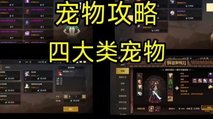 dnf宠物怎么升级快1