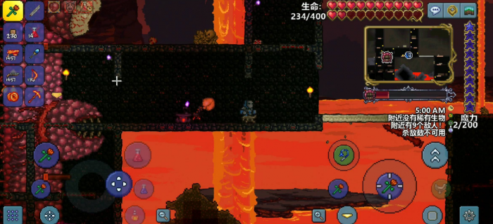 泰拉瑞亚中哪个宠物实力出众1