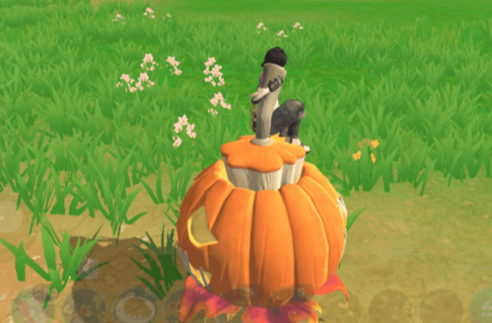 创造与魔法庆典南瓜坐骑能飞吗1