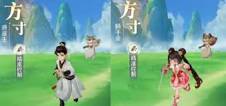 灵兽大冒险选什么职业最强1