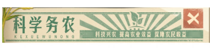 时光杂货店农田收菜攻略1