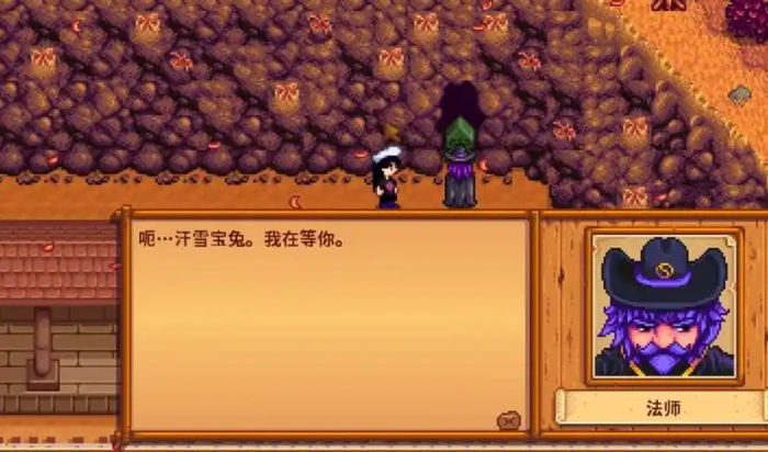 星露谷物语法师好感怎么加3