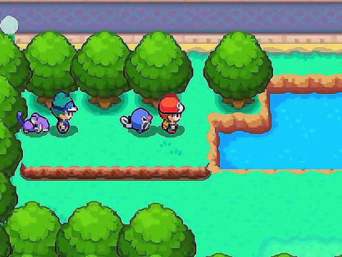 口袋妖怪心金乘龙在哪1