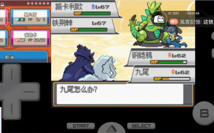 口袋妖怪心金乘龙在哪2