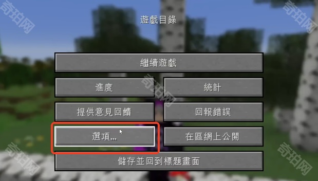 《我的世界》1.21.5版本原版材质包更换方法3