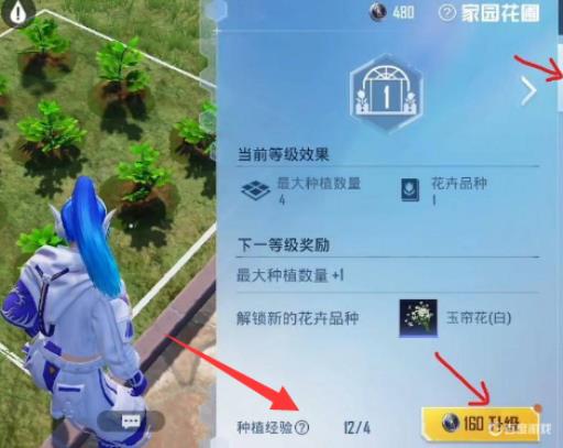 和平精英家园花圃怎么快速升级?_和平精英家园模式