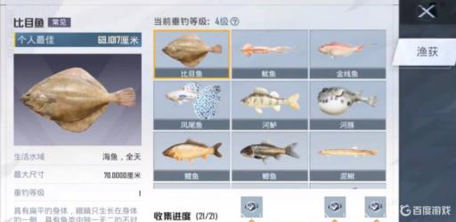 和平精英钓鱼图鉴怎么查看?2