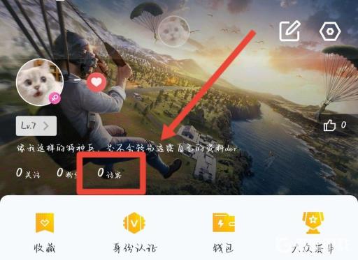 和平精英可以看到访客吗?3