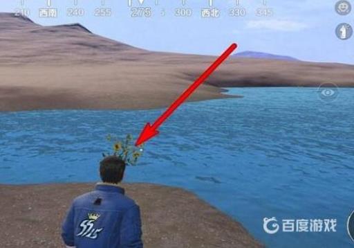 和平精英向日葵在哪?5