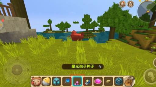 迷你世界的小鸡怎么进?_迷你世界小鸡跟着什么走