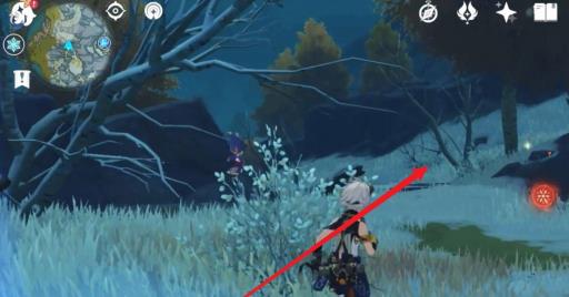 原神的无相之冰下面怎么进?4