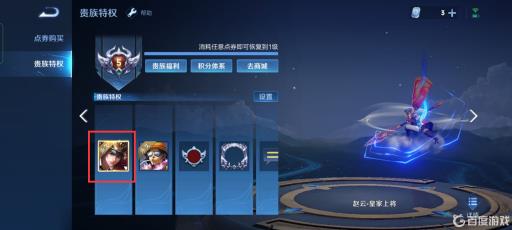 王者的贵族有什么用?8