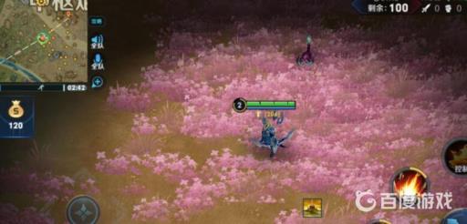 王者花海在哪里啊?5