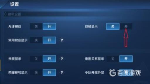 王者发战绩怎么显示标签?5