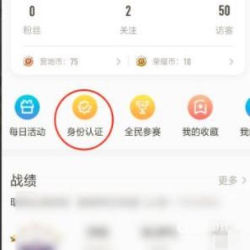 王者荣耀王者营地巅峰王者条件是什么?1