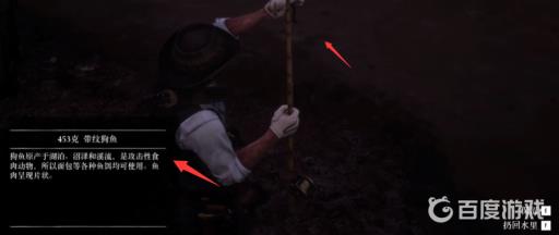 荒野大镖客2线上带纹狗鱼在哪钓?3