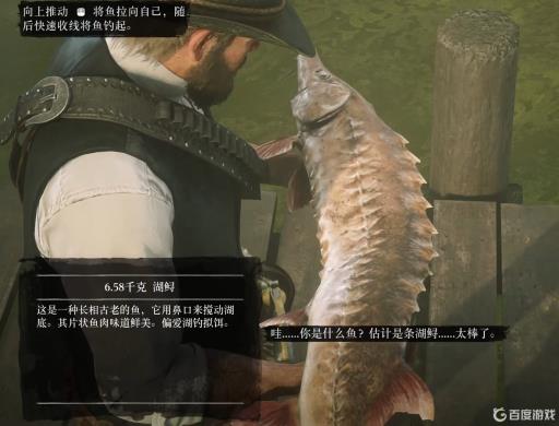 荒野大镖客2湖鲟位置在哪?6